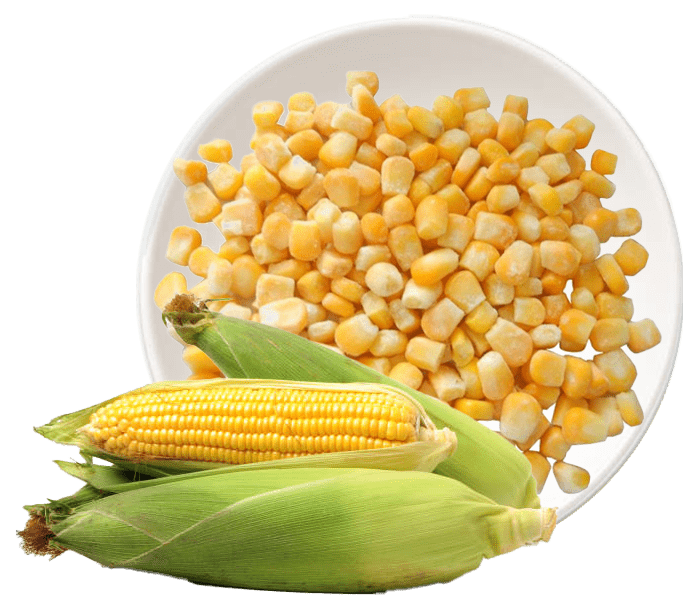 Frozen Sweet Corn Exporter to Kuwait
